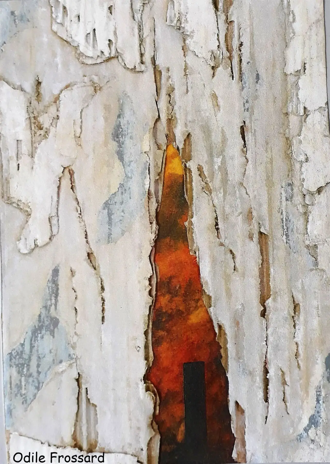 2019 Odile Frossard